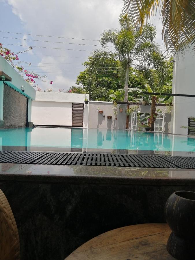 Ibis Udawalawe