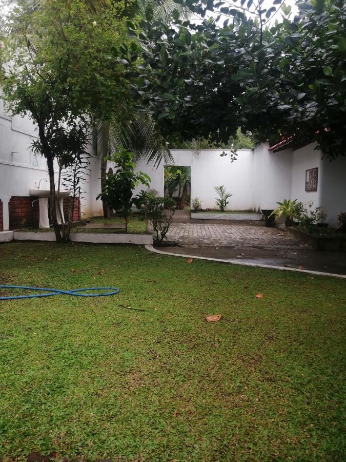 Ibis Homestay