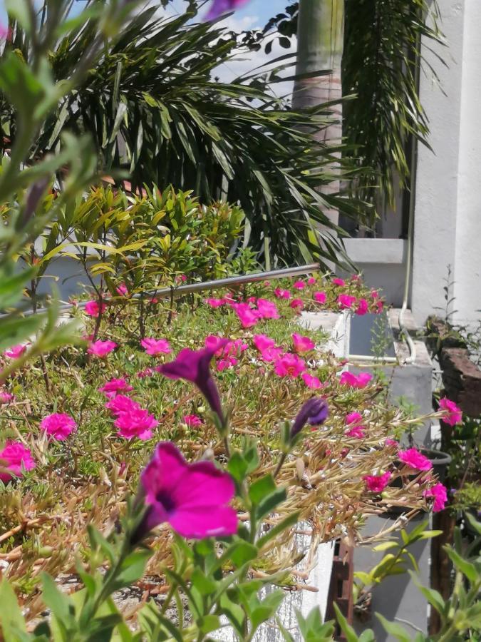 Homestay Ibis Udawalawe
