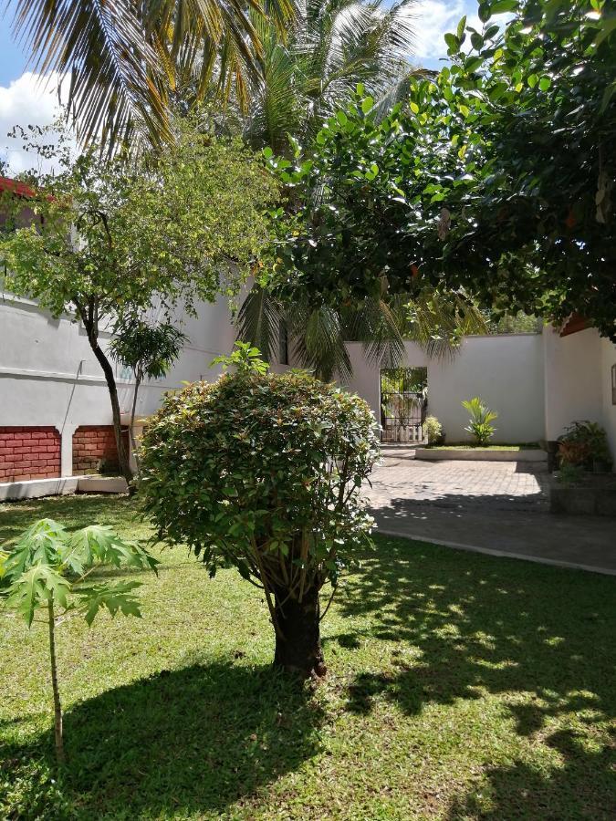 Homestay Ibis *
