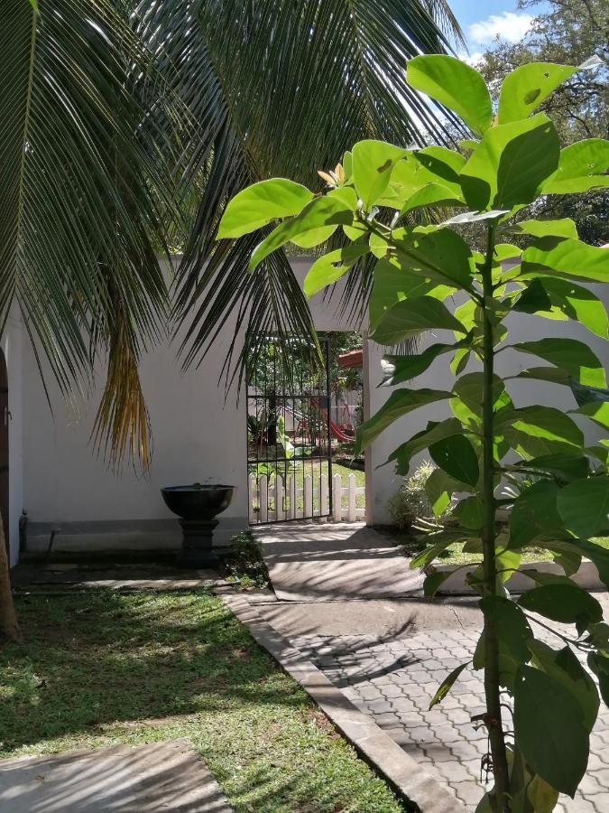 Ibis * Udawalawe